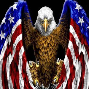 Meet your Posher, Levi